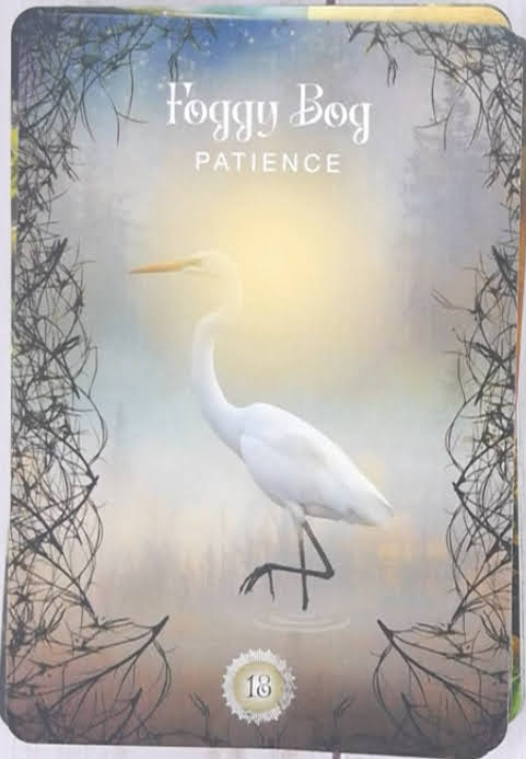 Sacred Forest Oracle